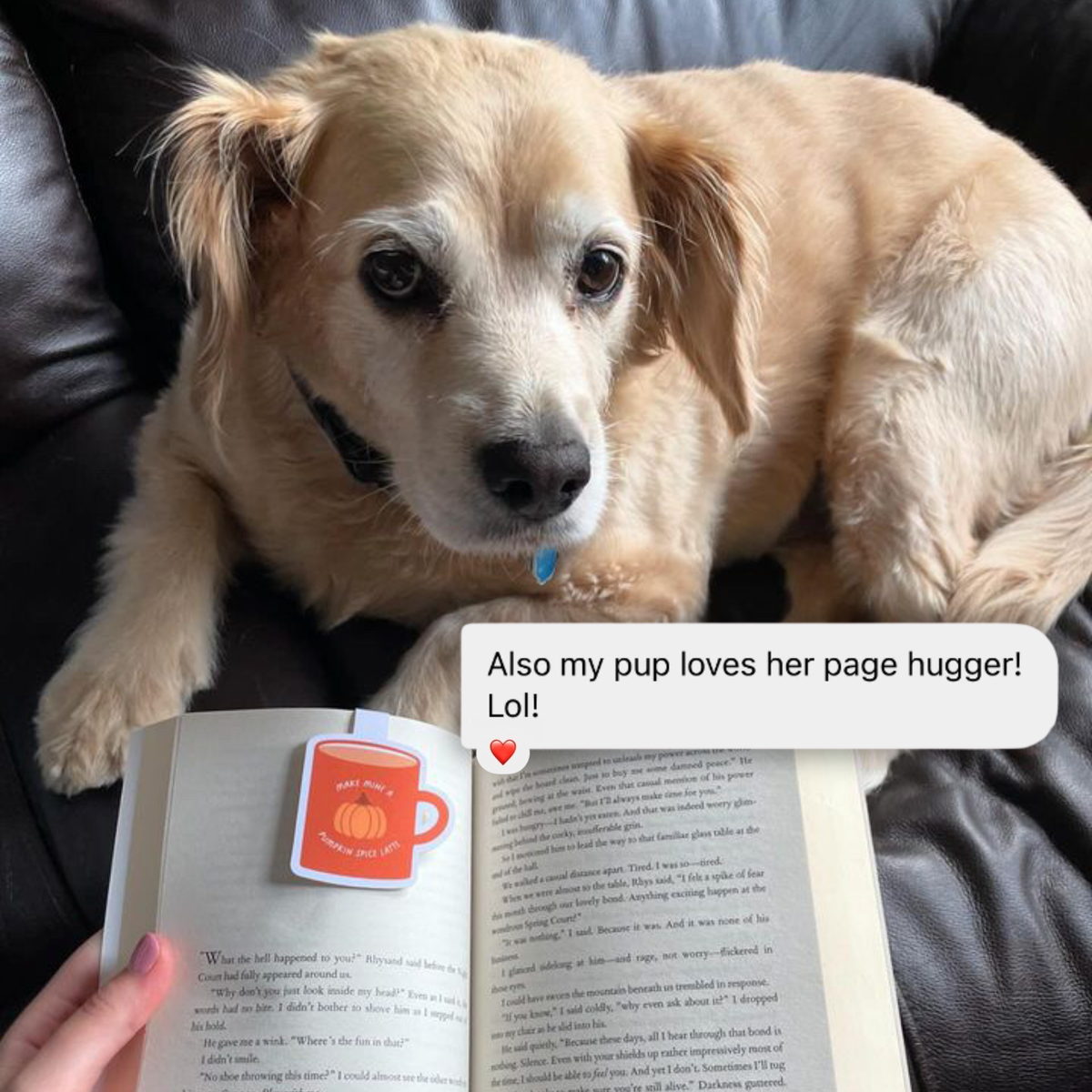 Pumpkin Spice Latte Mug Magnetic Bookmark